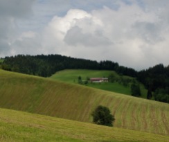 Mountain farms in Austria form a landxape fabric that is part of the country's cultural heritage.